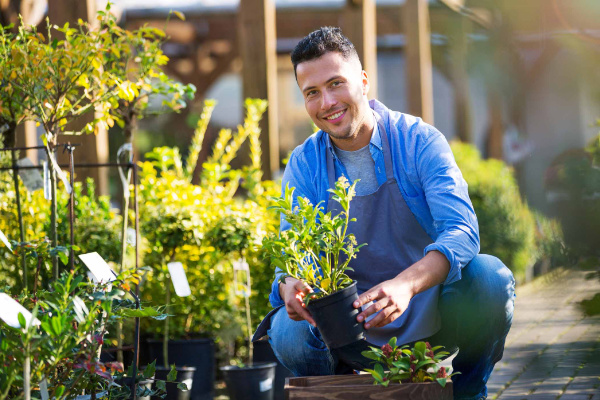 Landscaping Contractor
